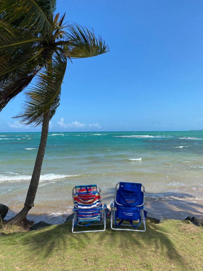 Blue Leaf By The Sea Apartment Luquillo Luaran gambar