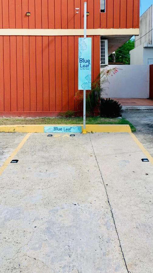 Blue Leaf By The Sea Apartment Luquillo Luaran gambar